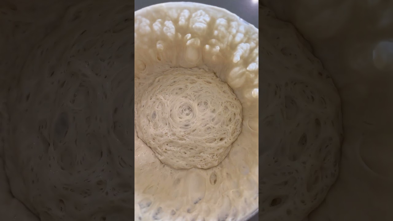 Active, strong and healthy sourdough starter. #sourdoughstarter   #artisanbread #sourdough