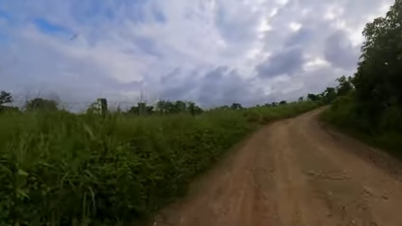 Drt to dingalan road update