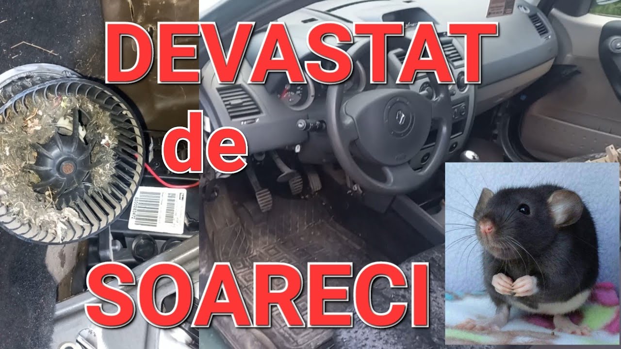 CUM SCHIMBAM VENTILATOR HABITACLU, AEROTERMA,RENAULT MEGAN 2 ,INVADAT DE SOARECI