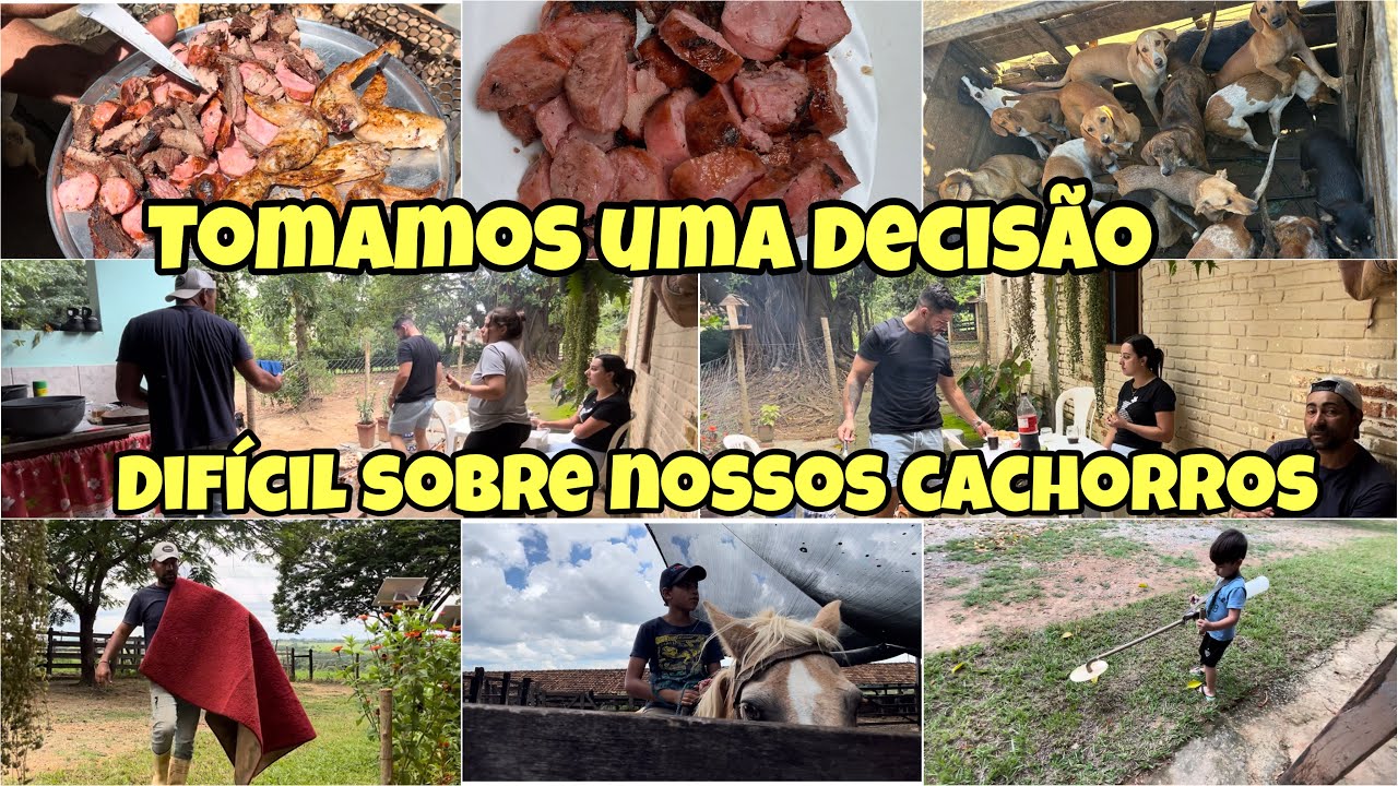 DOMINGÃO COM CHURRASCO NA ROÇA 🥩🌾 NOTICIAS SOBRE OS CACHORROS 🐶”