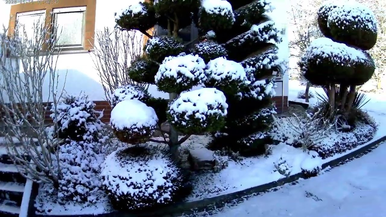 Wintergartenvideo🥰Teil 4🥰Garten & Zierfische🥰Audioton🥰Fontastic 2018 HVD Cam 4 K HD/FullHD/Ultra HD🥰