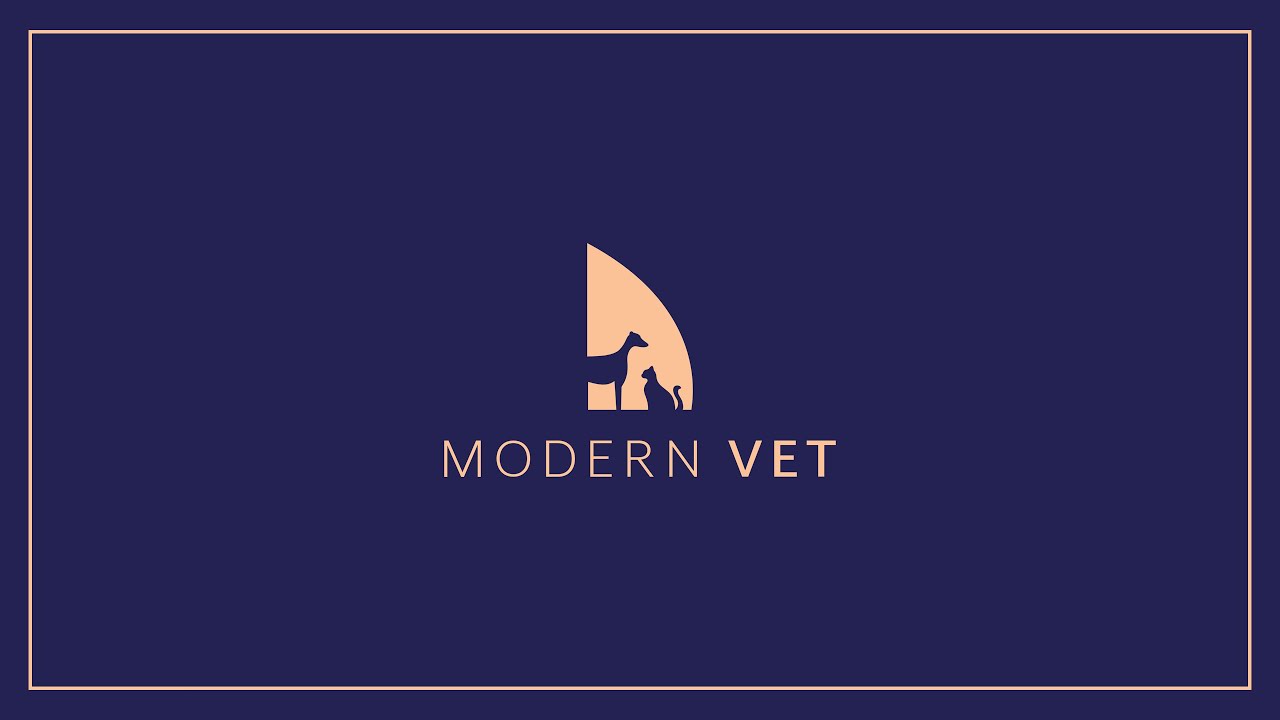Modern Vet Hospital