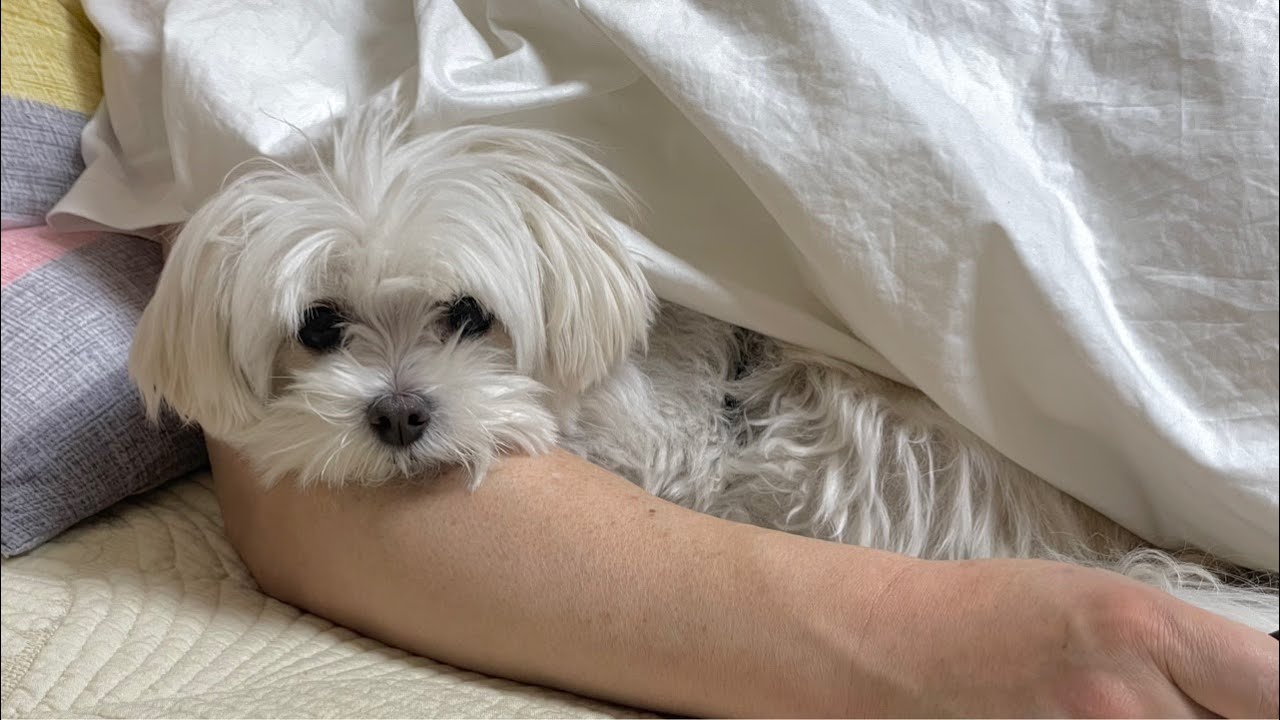 환희 소통 방송