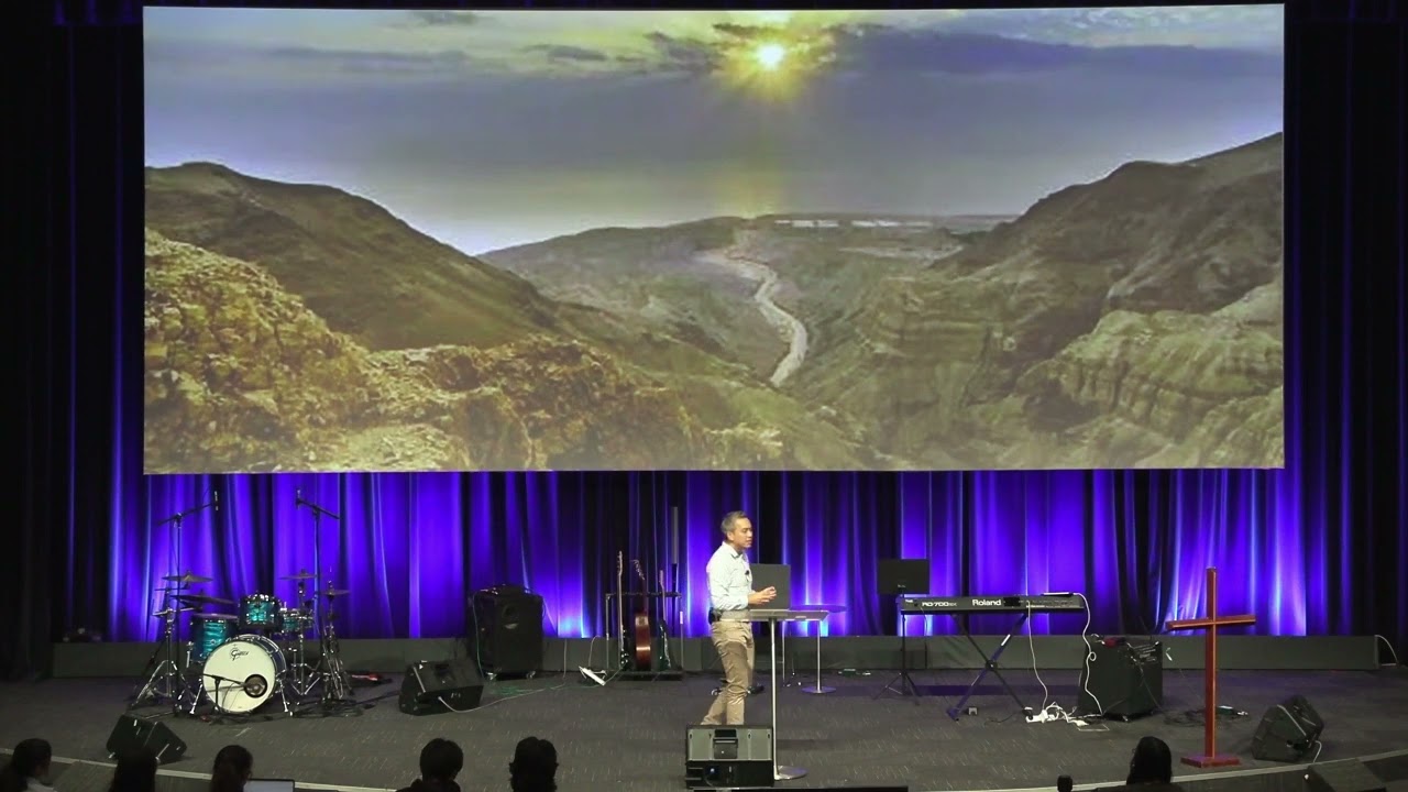 WIC City 17th Nov 2024