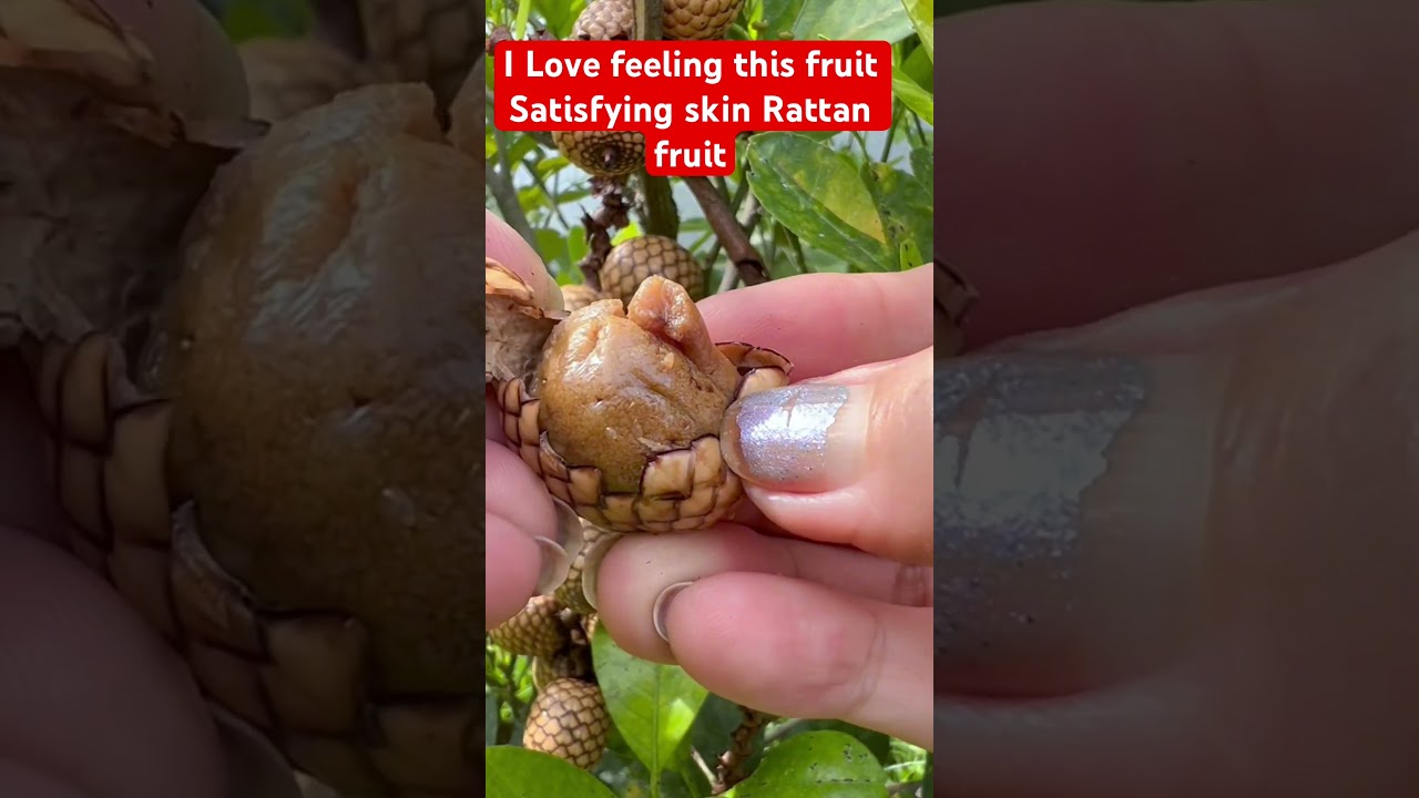 #sourfruits #rattan #fruit #satisfyingskin #asmr #shortvideo