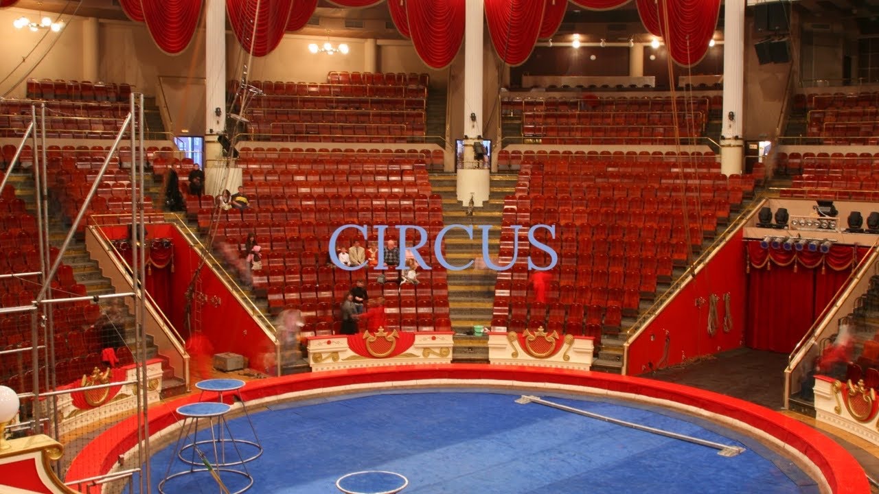 THE BEST  CIRCUS SHOW ON EARTH