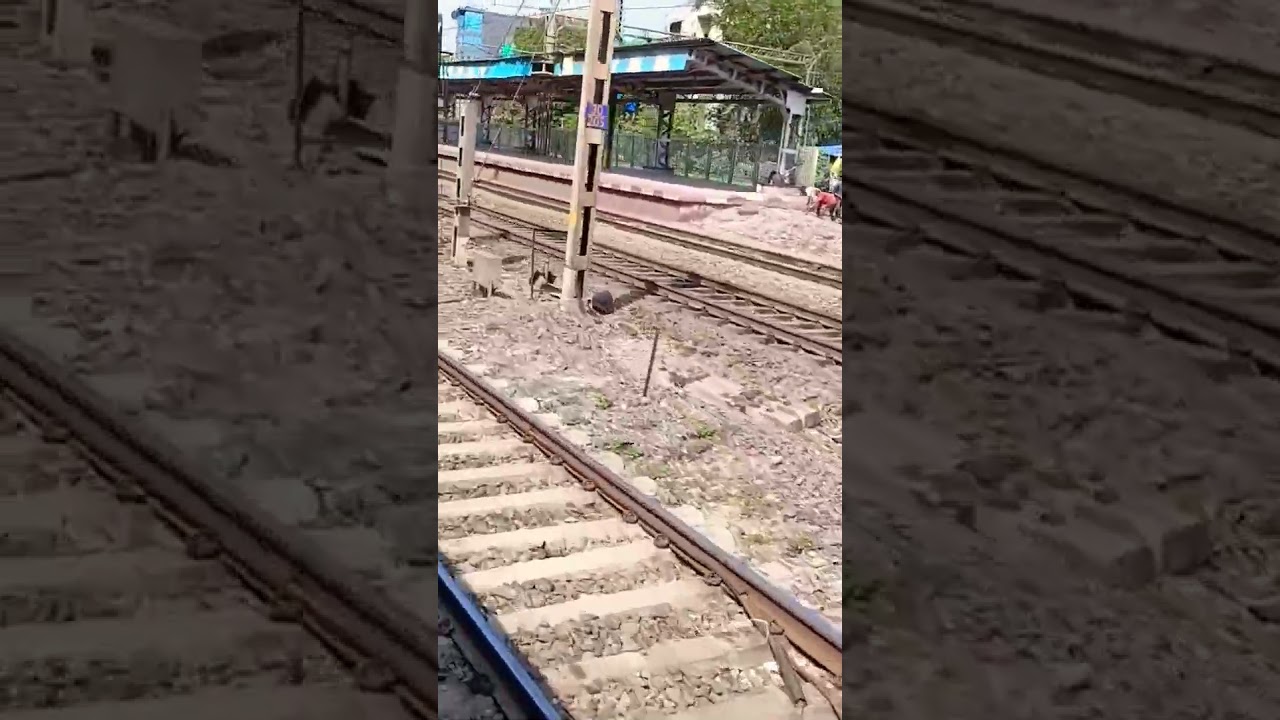 Local train vlog #shorts