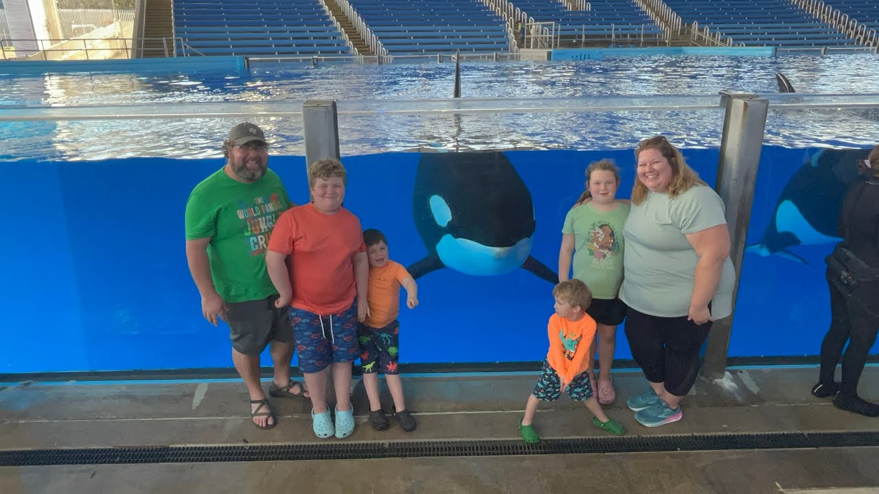 Killer Whale up close Tour SeaWorld San Antonio