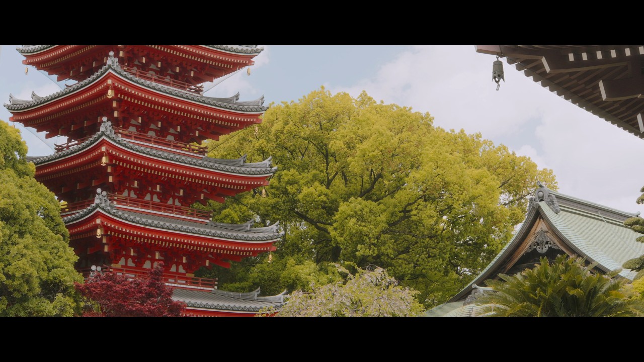 Spring in Japan pt 1 | Sony a6700 | Blazar Apex 50mm Anamorphic | Cinematic Travel Video 4K