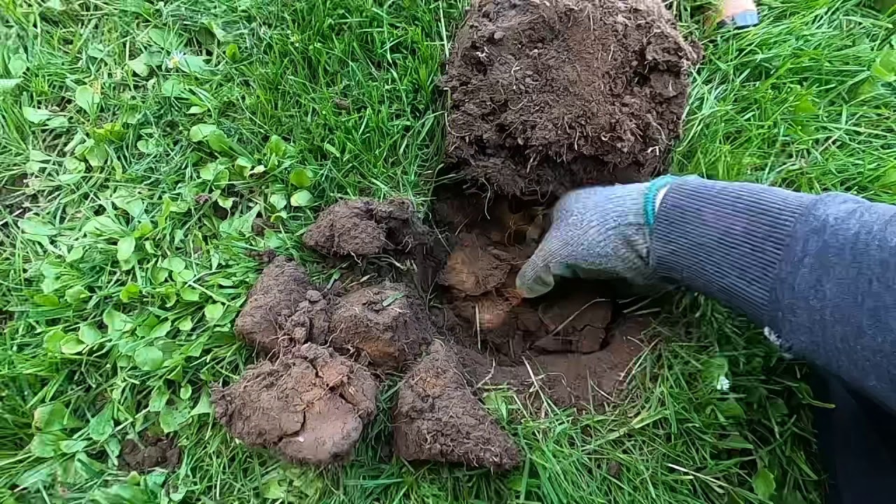 How To Avoid Digging Trash & Iron With The Minelab Equinox 800