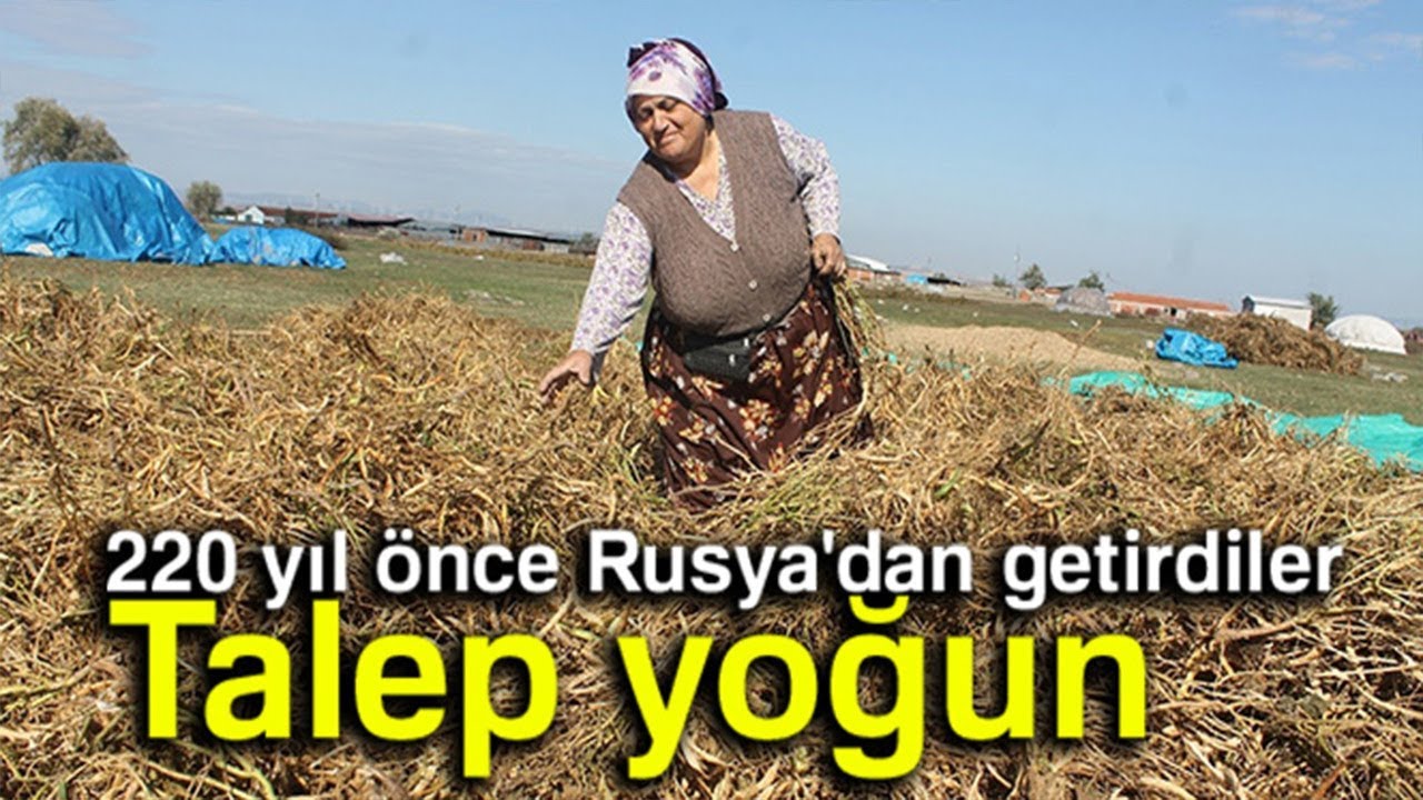Kazaklardan Miras Kalan Müthiş Lezzet