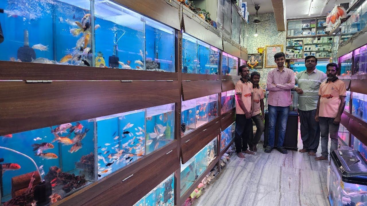 New Lovely Aquarium Fish Shop