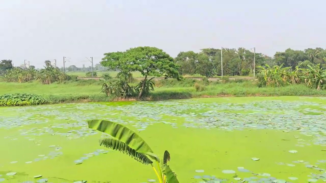ট্রেন চলছে