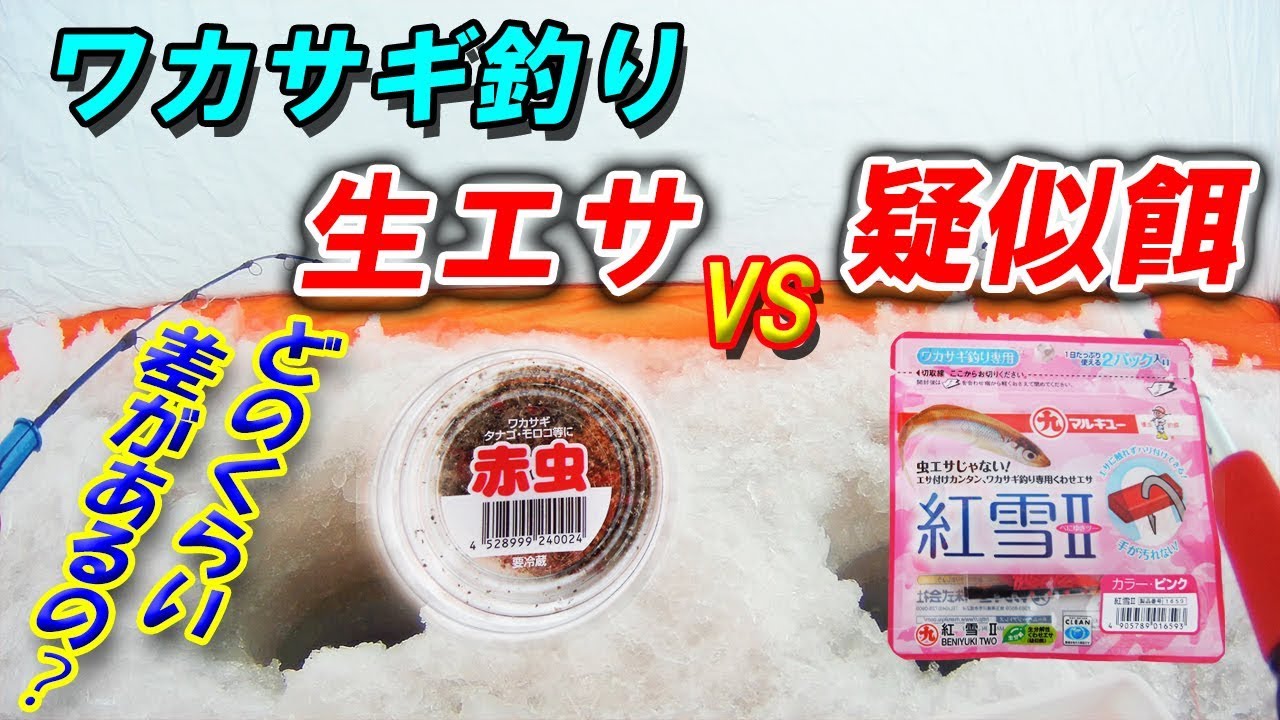 【釣り】わかさぎ釣り～生エサVS疑似餌～どれだけ釣果に差が出る？