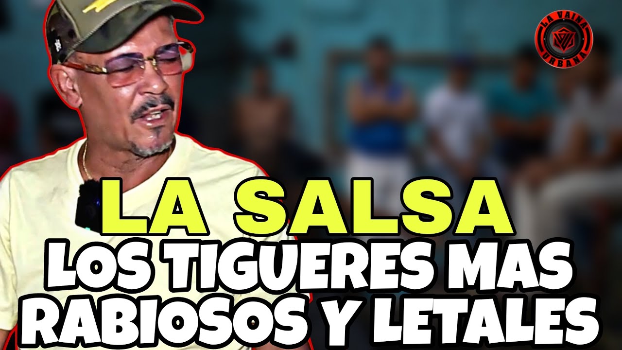 LA SALSA CUENTOS : LOS TIGUERES MAS RABIOSOS Y LETALES