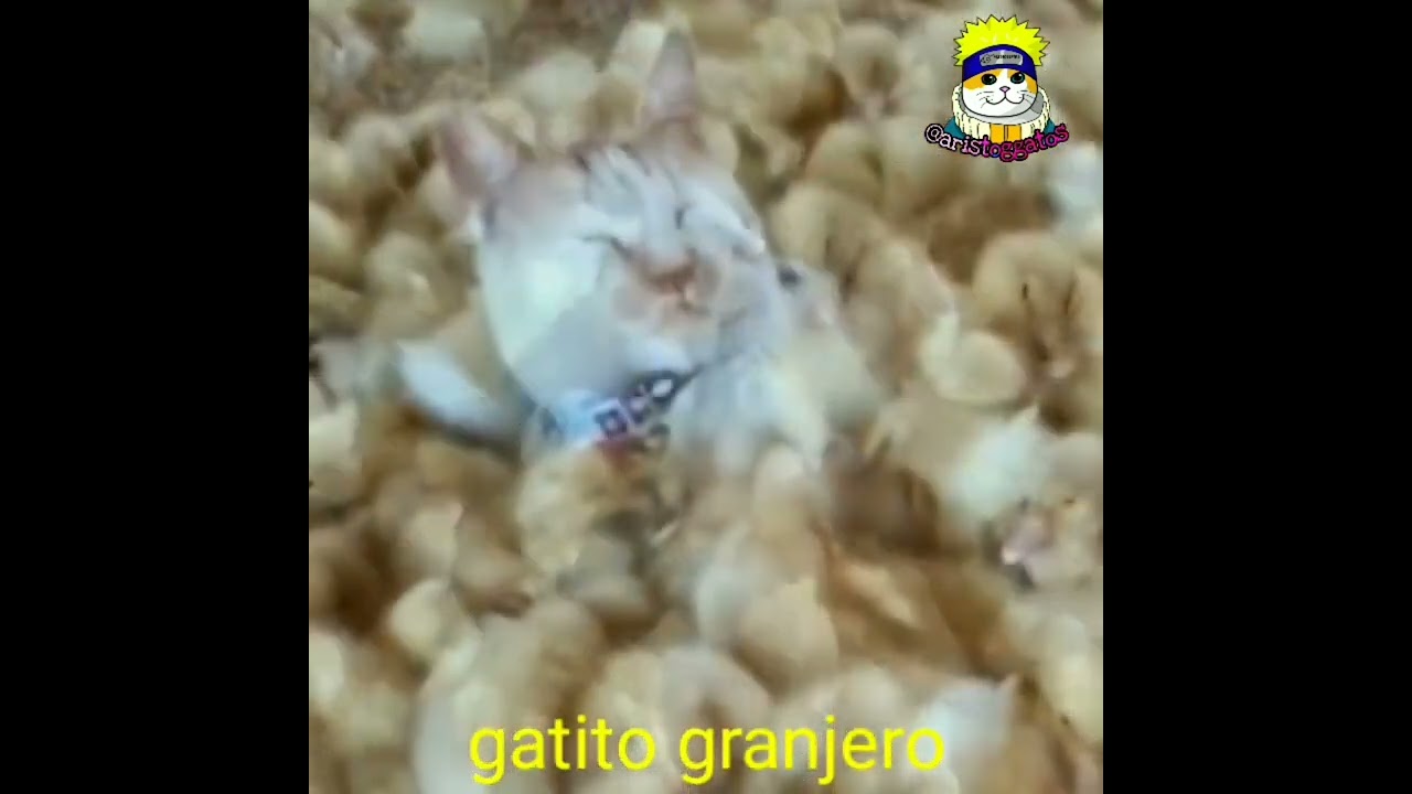 top 13 animales más épicos de la historia