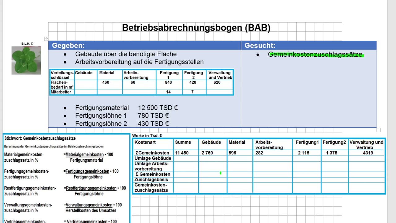 IM BWH H 2020 A5 Betriebsabrechnungsbogen