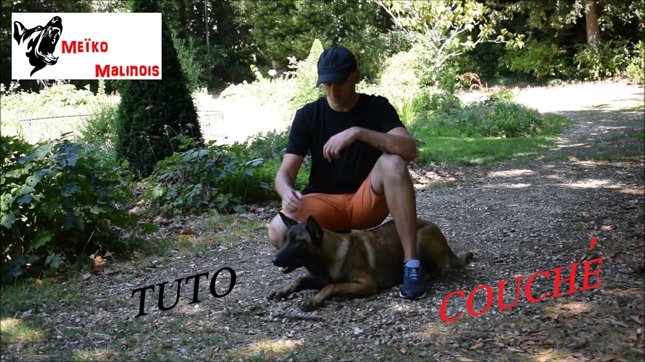 Tuto : Apprendre le 