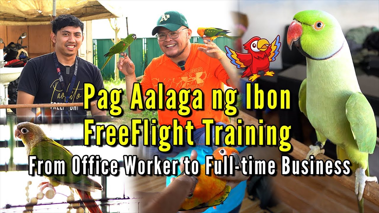 Free Flight Training - Hobby na naging Full-time Business