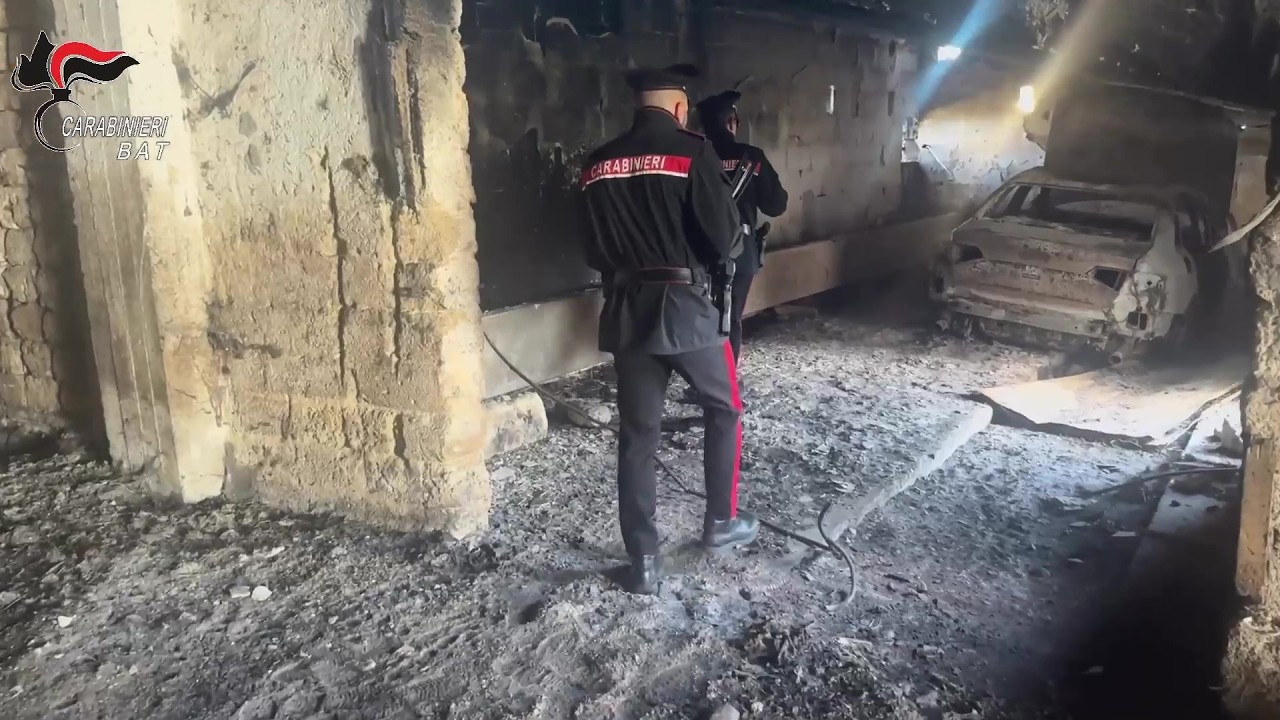 Un cimitero di carcasse di auto nel Parco dell'Alta Murgia: rubate e cannibalizzate in poco tempo