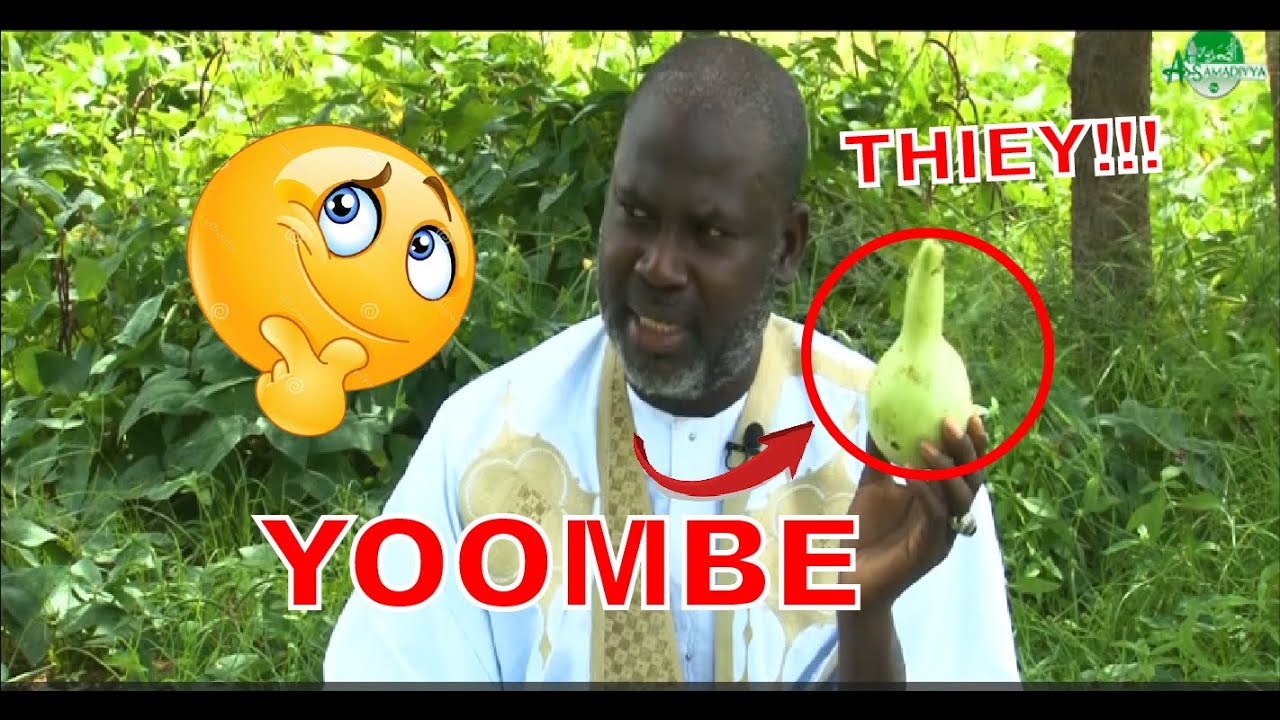 🔴 En Direct Touba | 𝑬𝒎𝒊𝒔𝒔𝒊𝒐𝒏 𝑷𝑨𝑨𝑱𝑼𝑴 𝑱𝑶𝑺𝑺𝑨𝑵 | Elhadji Malick Gueye lundi 02