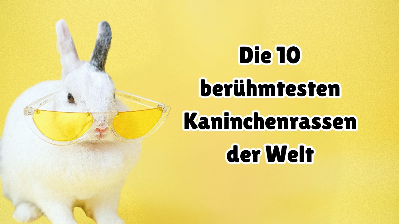 Die 10 berühmtesten Kaninchen der Welt – Diese Hasen kennt jeder! 🐰⭐