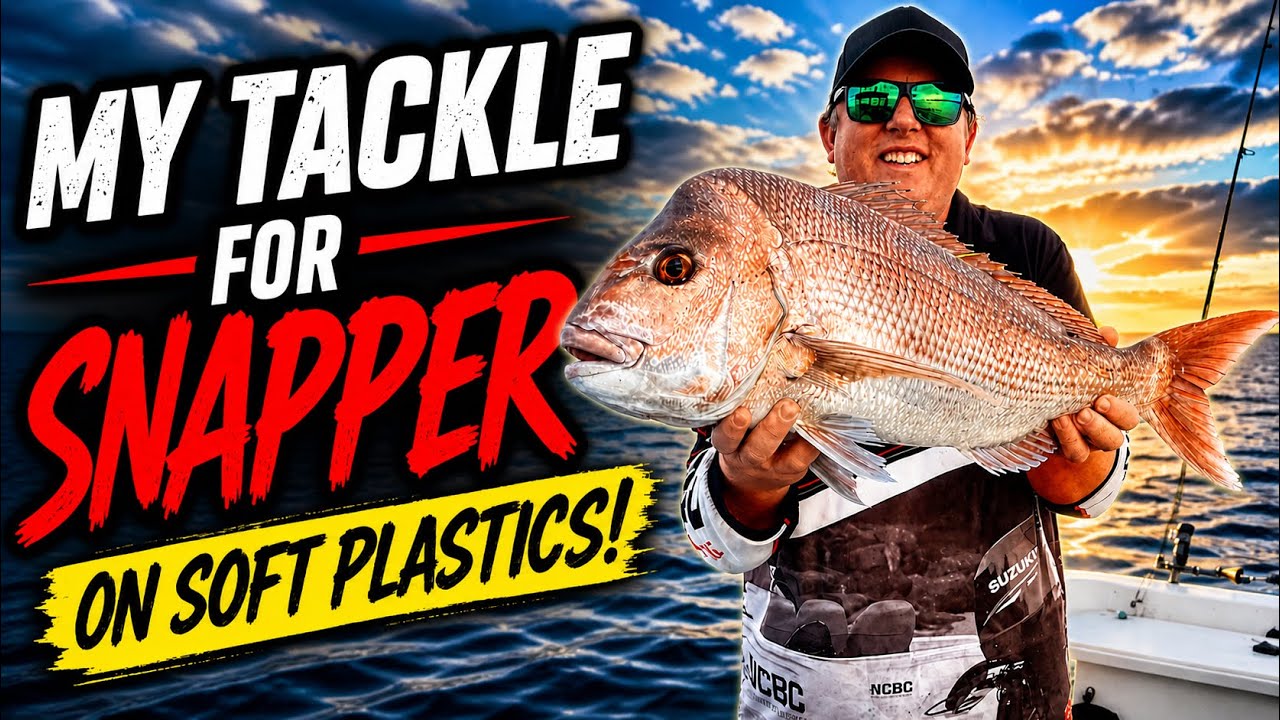 Tackle Snapper on Soft Plastics