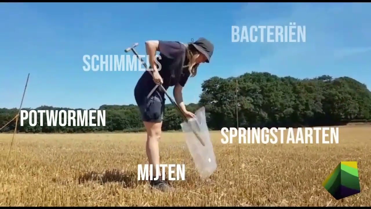 Veldwerk 2022 - Onder het Maaiveld project