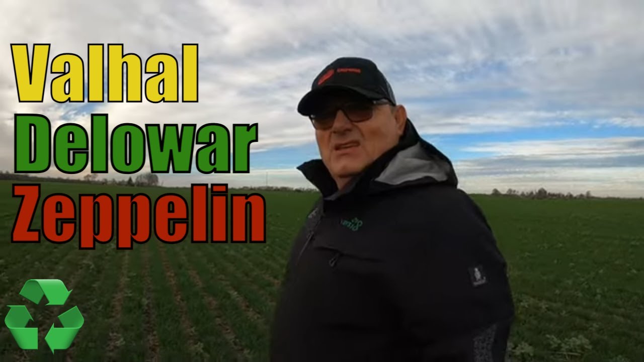 No-till žieminiai kviečiai Valhal Delowar ir Zeppelin