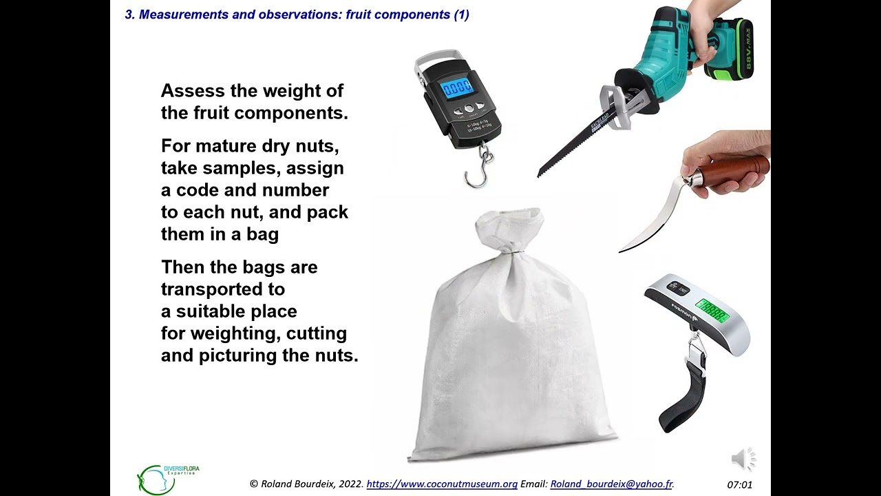 Rapid characterization of coconut varieties in farmer's field during a survey.