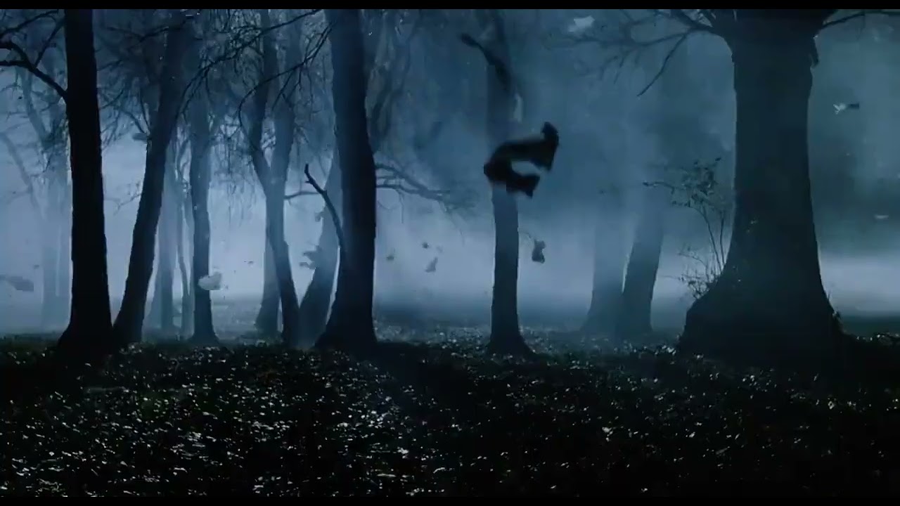 War of the Worlds 2005 Falling Clothes of Abducted Humans in Night Forest