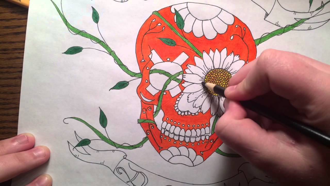 Daisy Skull Drawing