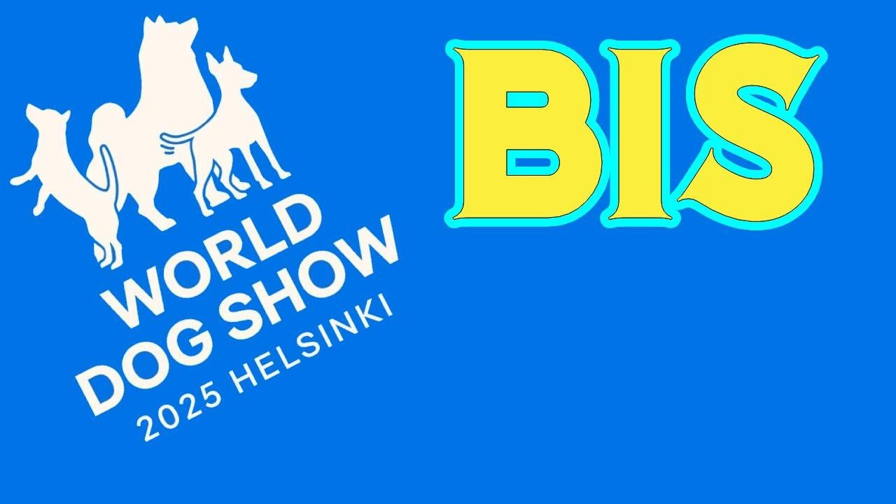 Así se vivió el Best in Show en Finlandia 2025