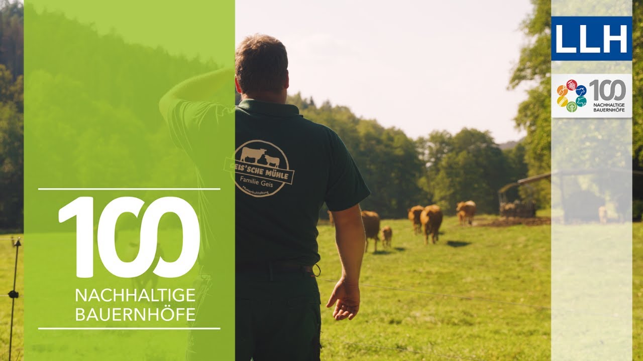 Wissen, Weide, Wandel: Mutterkuhhaltung und Naturschutz | Projekt 100 nachhaltige Bauernhöfe