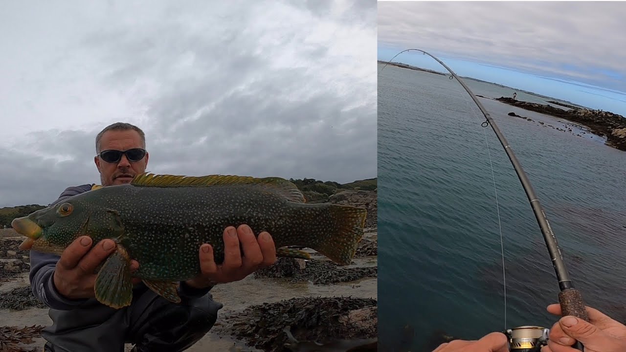 Weeks fishing on herm island paradise 2022