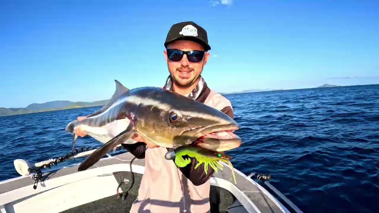 10 Minutes Of Curly Prawn Action | Chasebaits Australia