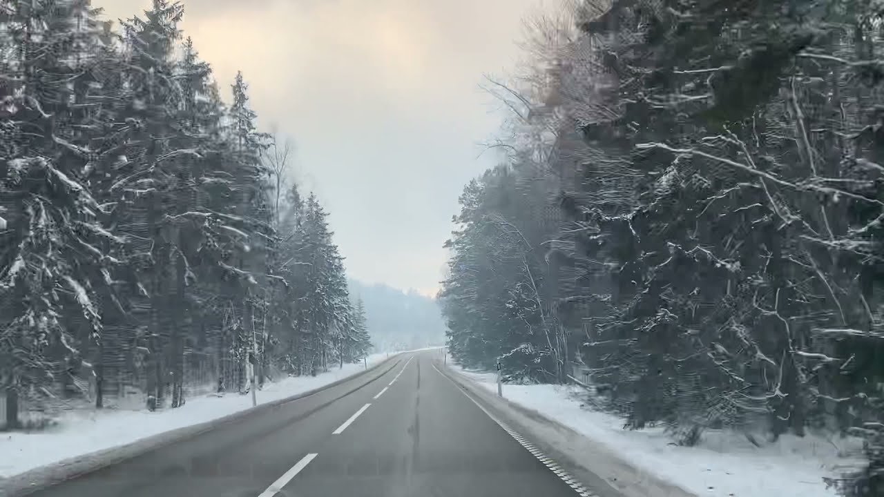 DRIVING THROUGH THE SNOWY ROADS AND WOOD 🌲IN SWEDEN 🇸🇪 Biltur #sverige #driving #snow