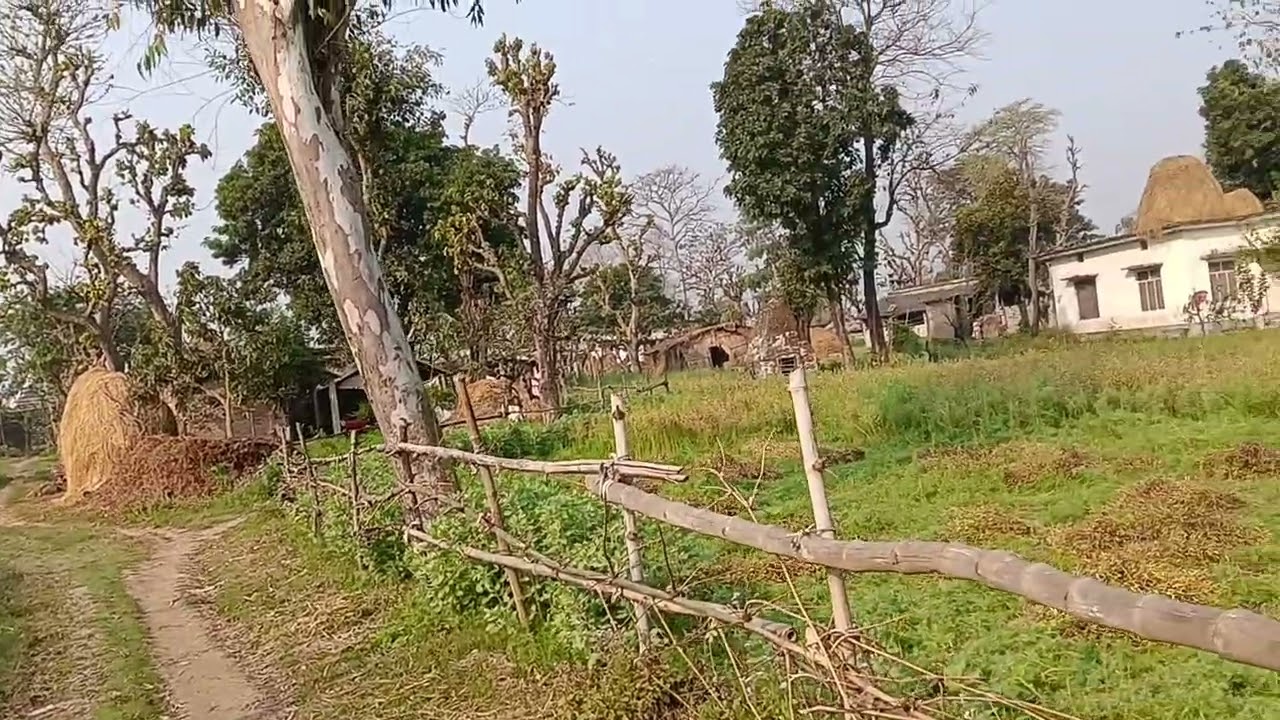 नेपाल में कामकाज उत्तराखंडी वायरल डेली ब्लाक 