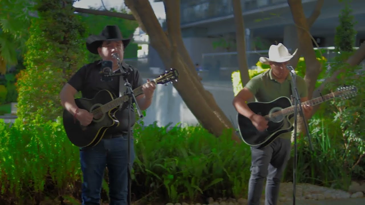 Elvis Carmona - El bazucazo (En Vivo)