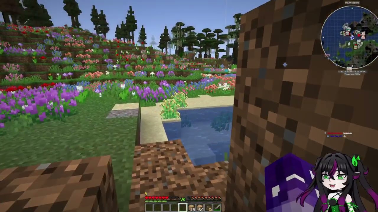 Minecraft SMP day 1 part 2
