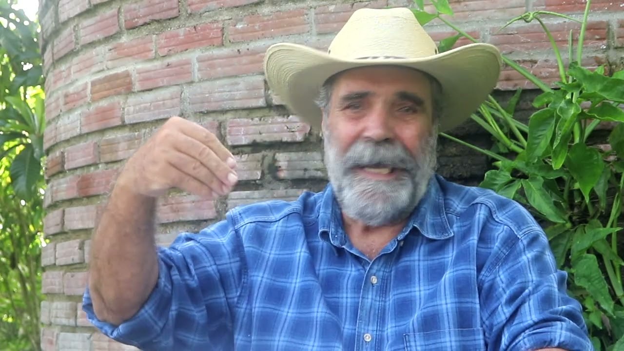 Video # 169 