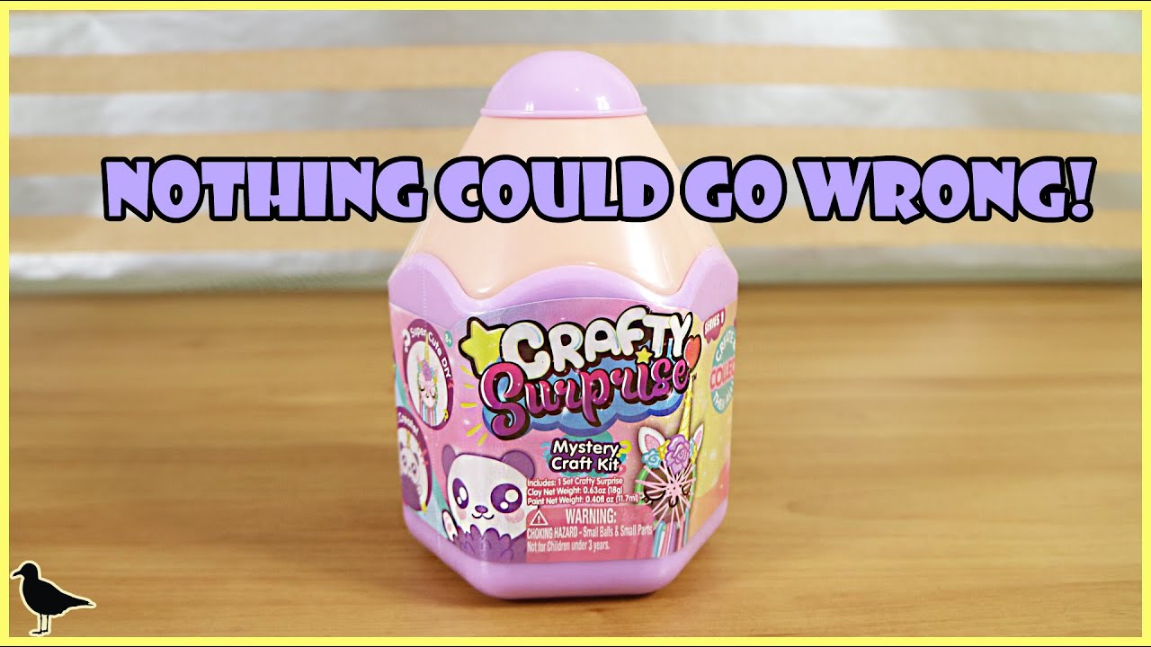 Crafty Surprise Mystery Craft Kit Opening! | Birdew Reviews