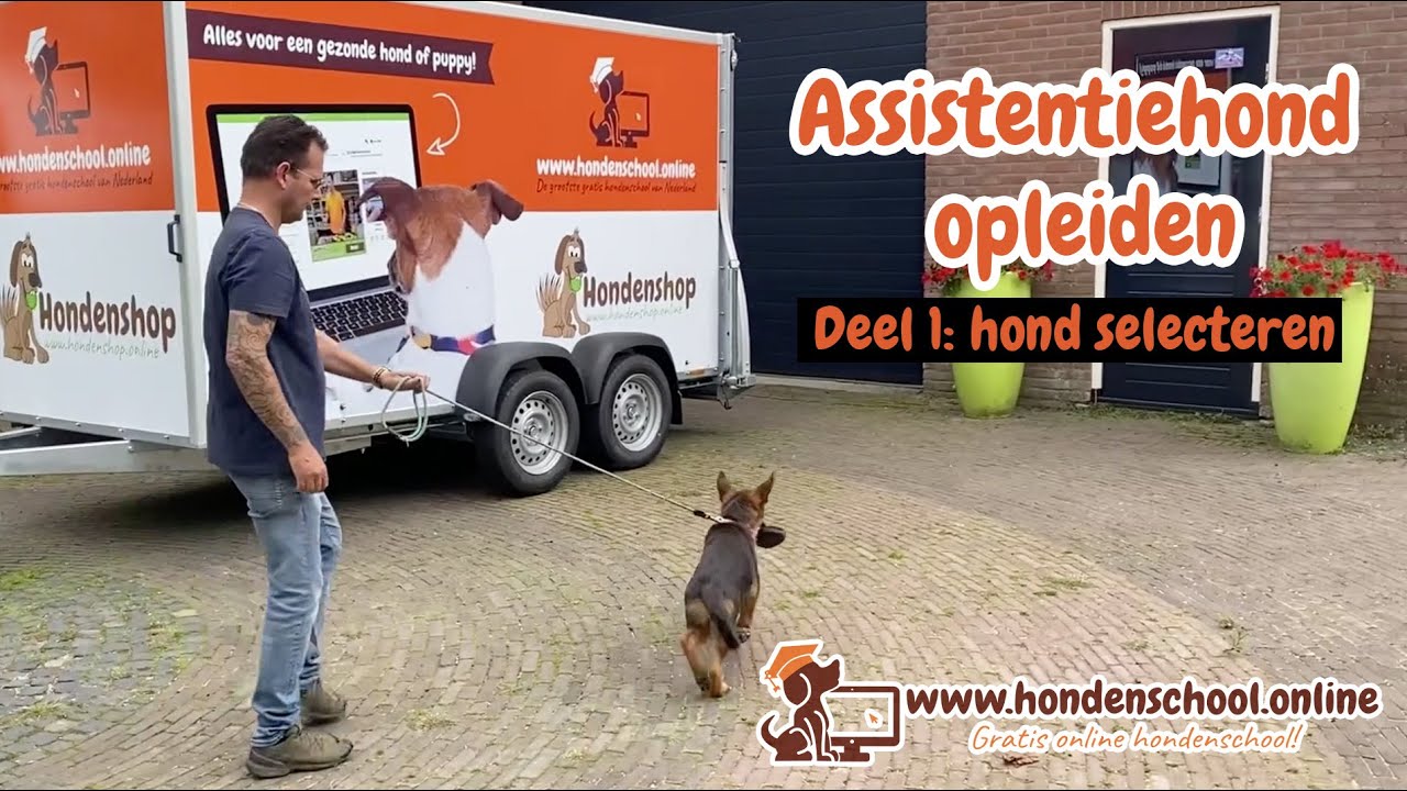 Assistentiehond opleiden