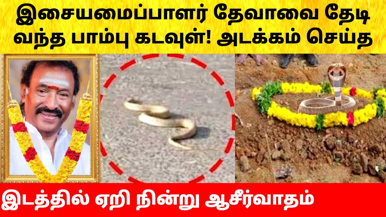 Music Director Deva blessed by Snake| Family Emotional | Hospital Video | Latest News | Son