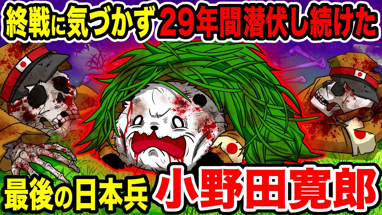 【実話】終戦を知らずに29年間潜伏し続けた最後の日本兵「小野田寛郎」【アニメ】
