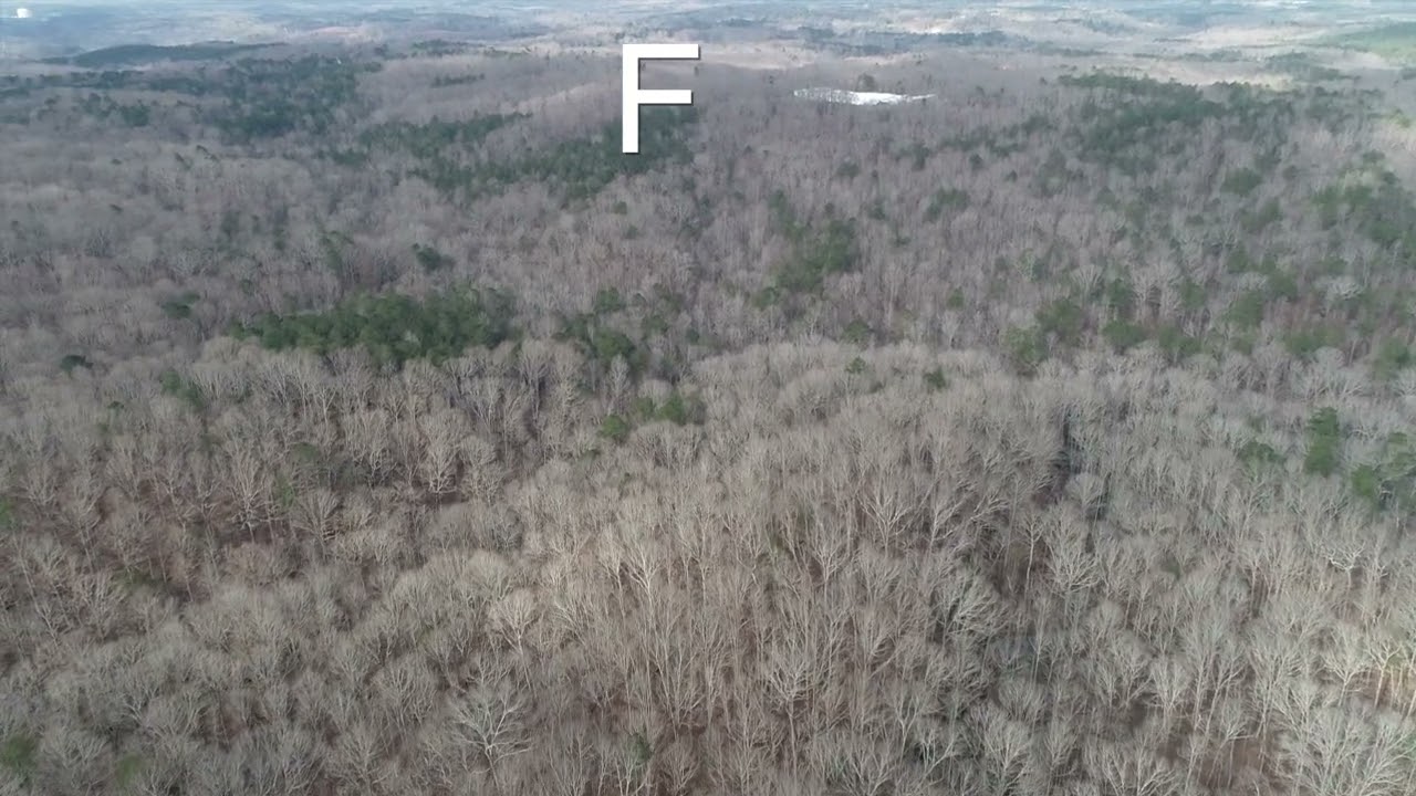 Hogan Pond Lane - Approximately 110  AC