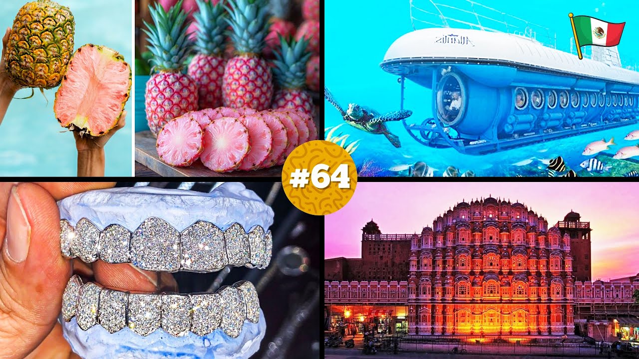 🧠 &iexcl;20 DATOS CURIOSOS que NO sab&iacute;as hace 5 minutos! 😱#64