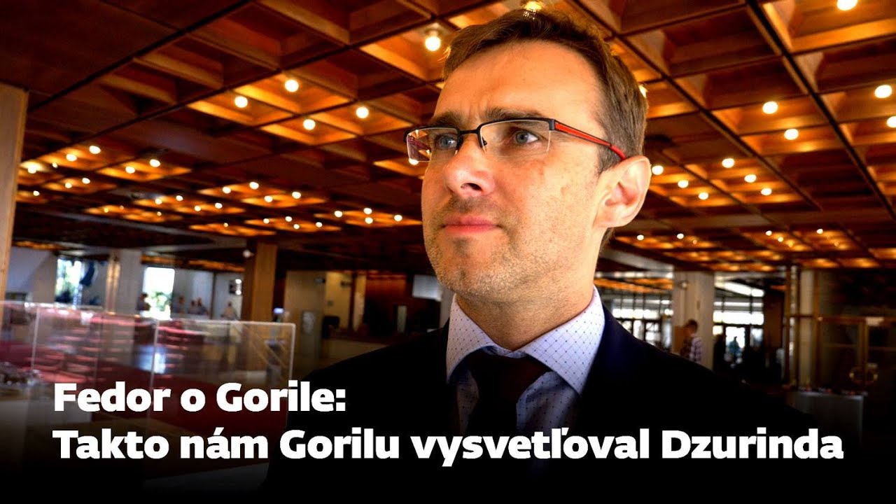 Fedor o Gorile: Takto n&aacute;m Gorilu vysvetľoval Dzurinda