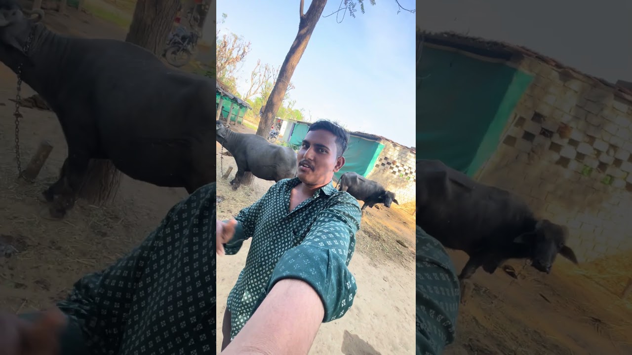 SKVLOGS
