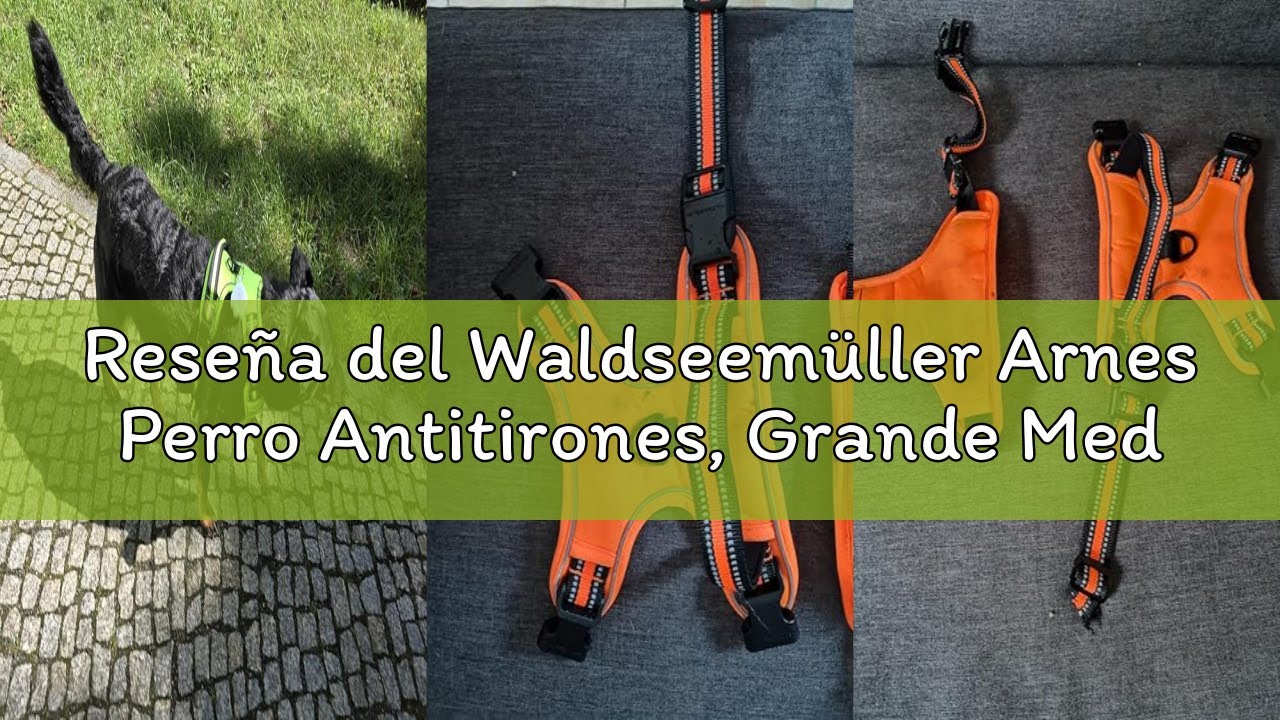 Reseña del Waldseemüller Arnes Perro Antitirones, Grande Mediano Pequeño Arnés Pecho Antitirones Per